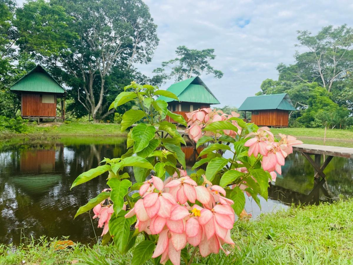 Sunrise Of Tambopata Villa Puerto Maldonado Eksteriør bilde
