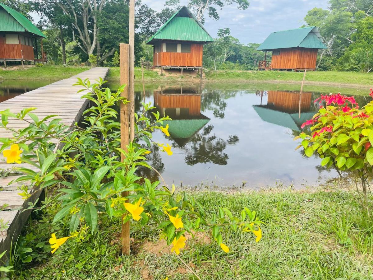 Sunrise Of Tambopata Villa Puerto Maldonado Eksteriør bilde