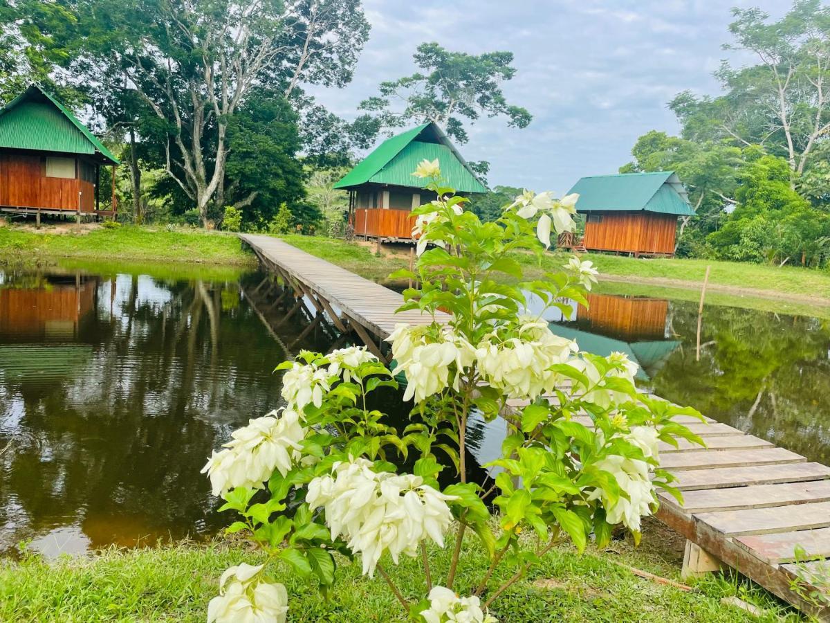 Sunrise Of Tambopata Villa Puerto Maldonado Eksteriør bilde
