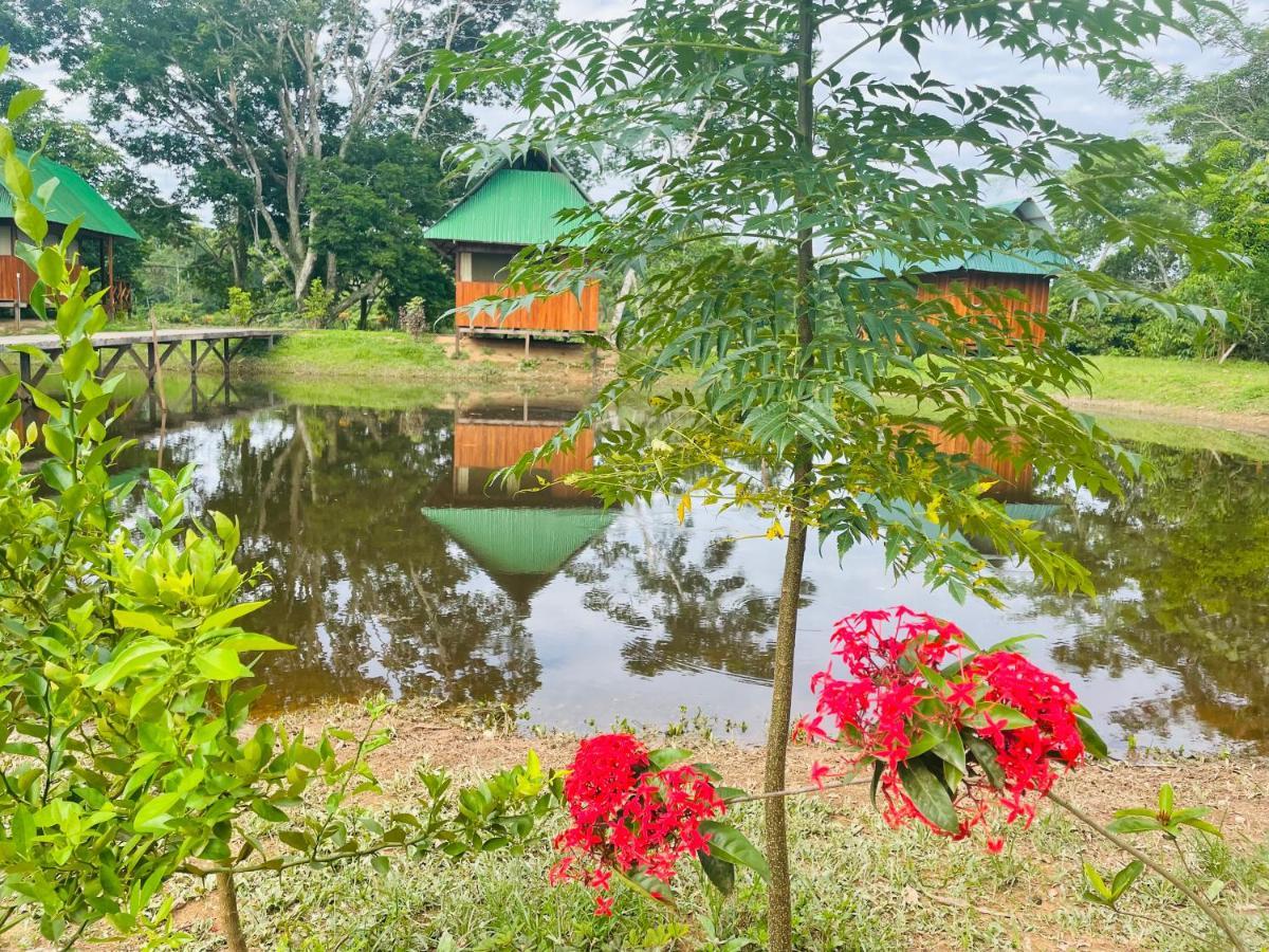 Sunrise Of Tambopata Villa Puerto Maldonado Eksteriør bilde