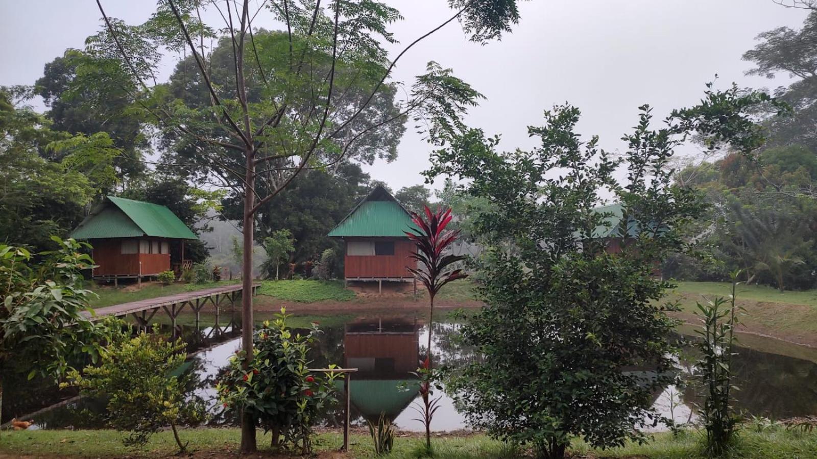 Sunrise Of Tambopata Villa Puerto Maldonado Eksteriør bilde